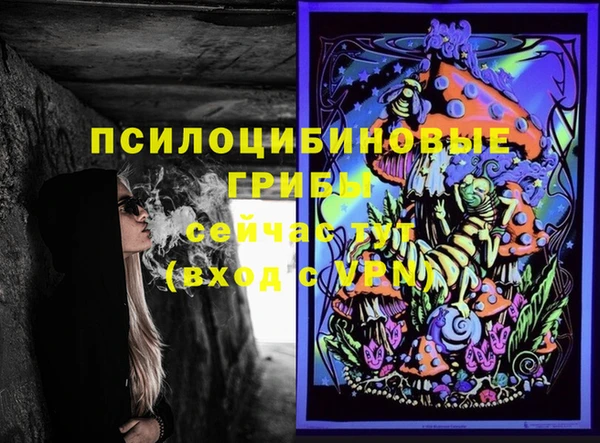 твердый Алексин