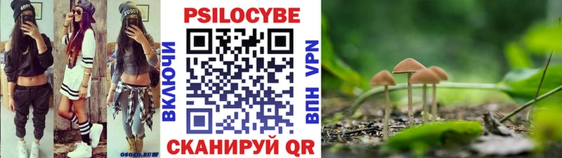 Галлюциногенные грибы мицелий  купить наркотик  Чёрмоз 